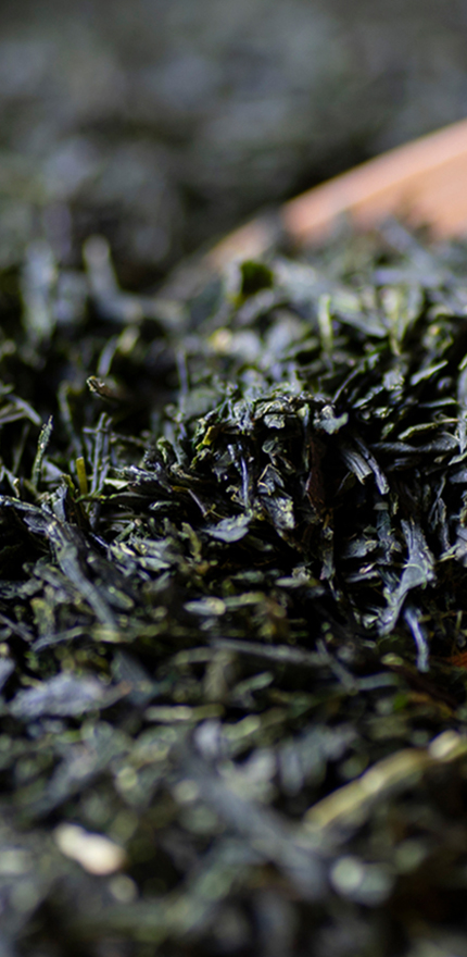 月ヶ瀬の風土が育む、香り高い茶葉をお届け。